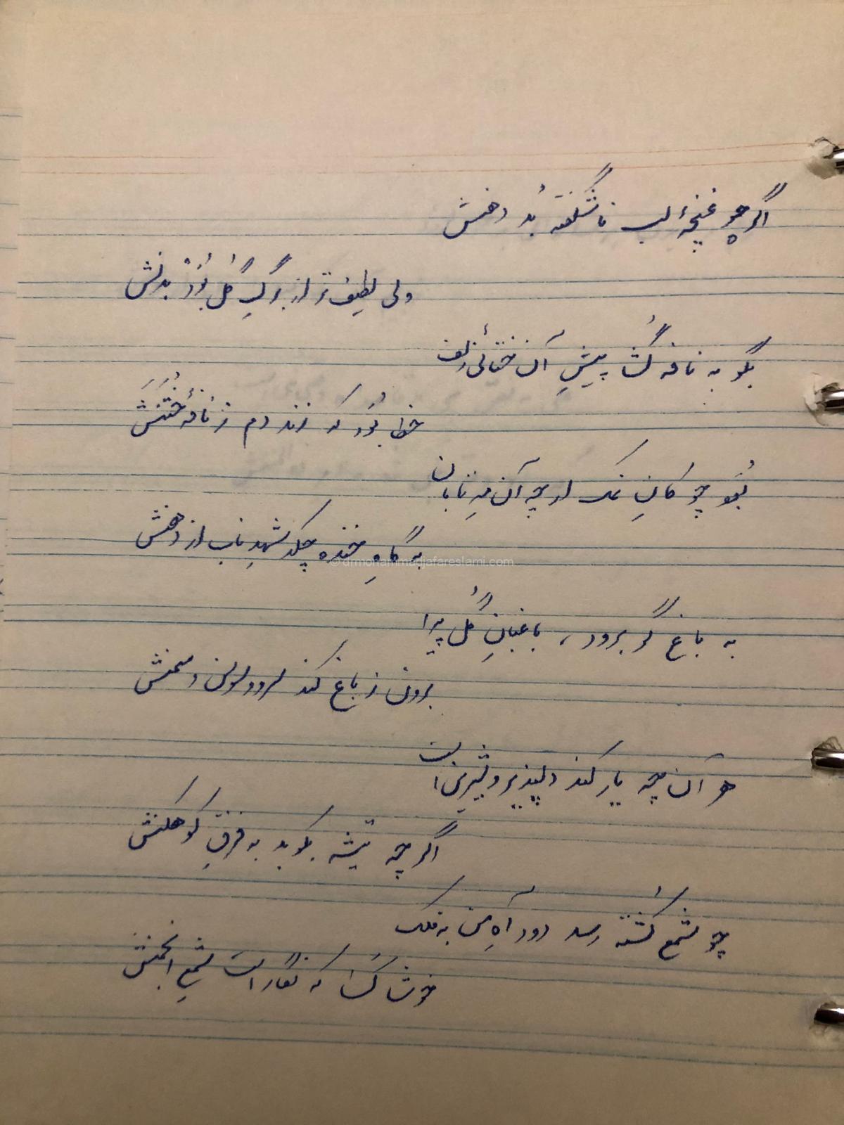 شهد ناب